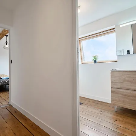 T3 Loft Authentique Hypercentre * Lila