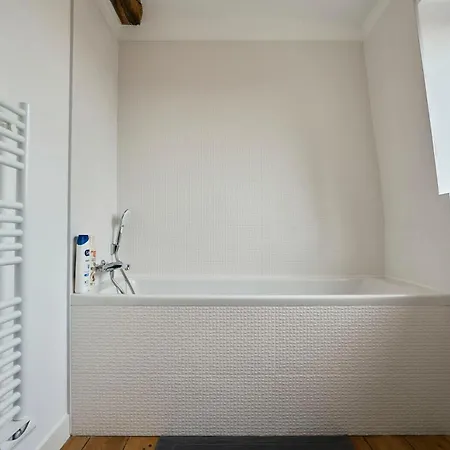 T3 Loft Authentique Hypercentre *