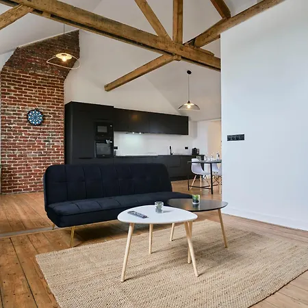 Apartment T3 Loft Authentique Hypercentre Lille