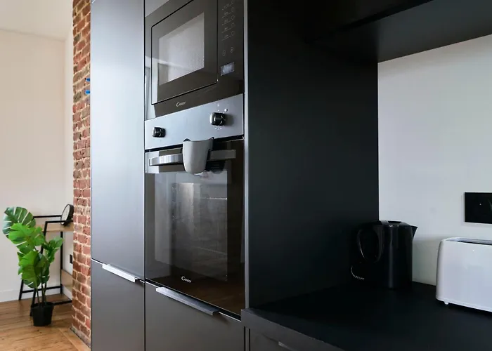 T3 Loft Authentique Hypercentre Lägenhet