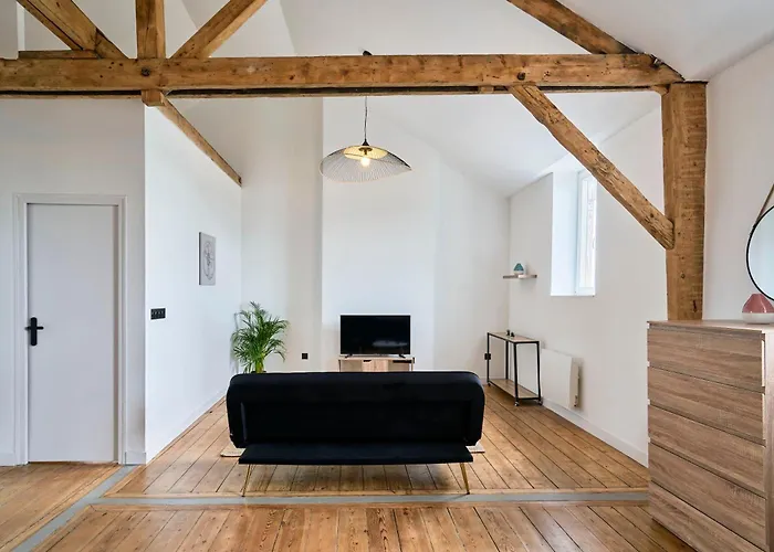 T3 Loft Authentique Hypercentre *