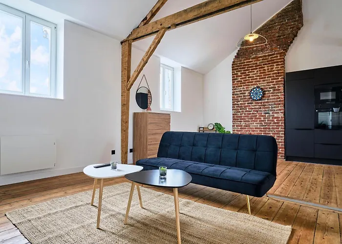 T3 Loft Authentique Hypercentre *